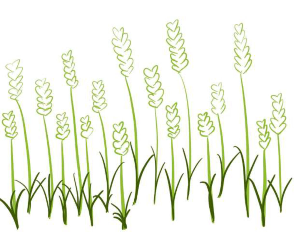 Equipment Rental Calvert Soil Conservation District